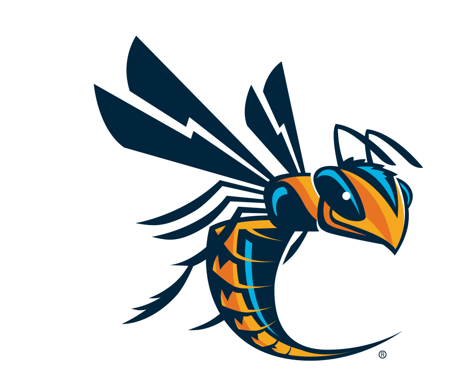 Cedarville Men's Soccer Camps
